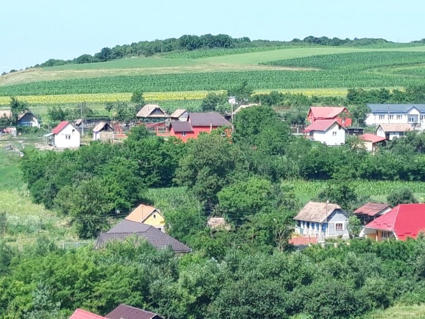  - Satu Nou