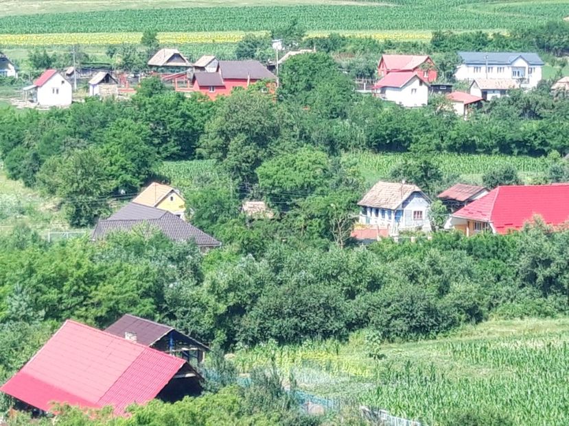  - Satu Nou