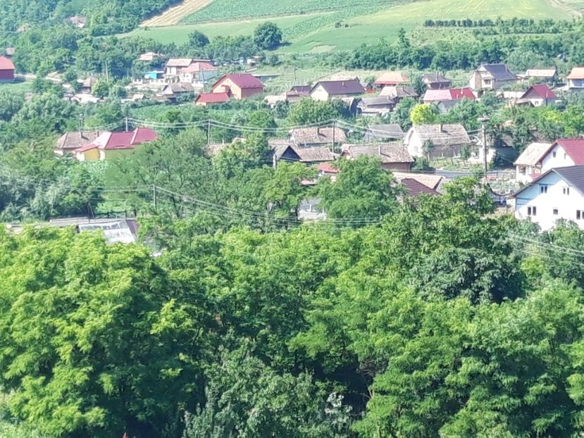  - Satu Nou