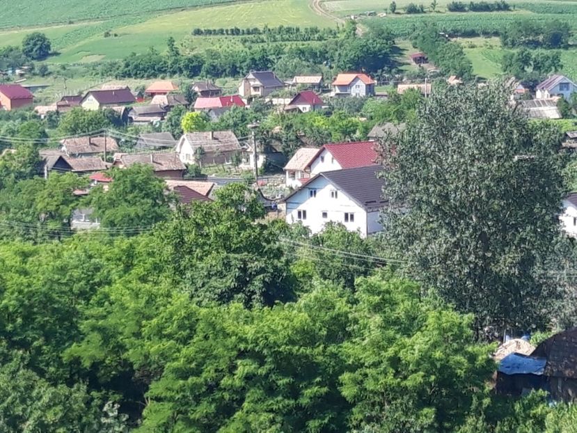  - Satu Nou