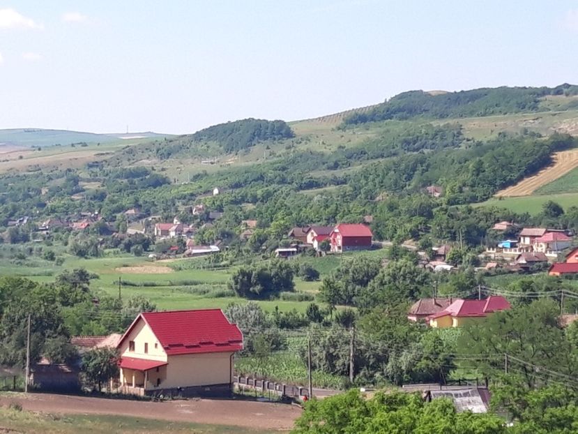  - Satu Nou