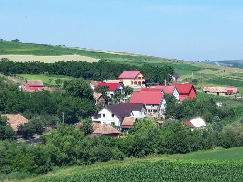  - Satu Nou