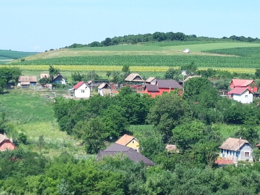  - Satu Nou