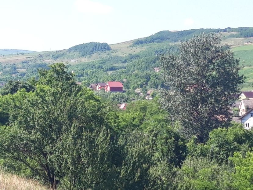  - Satu Nou