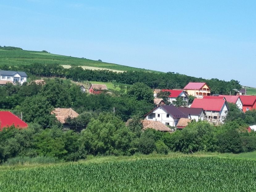  - Satu Nou