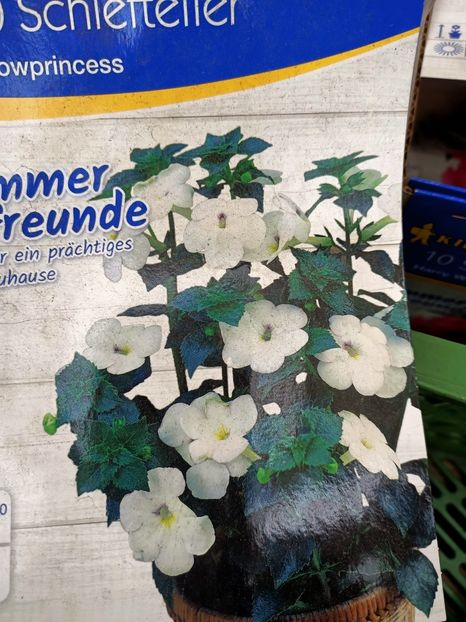  - 1 Achiziție nouă