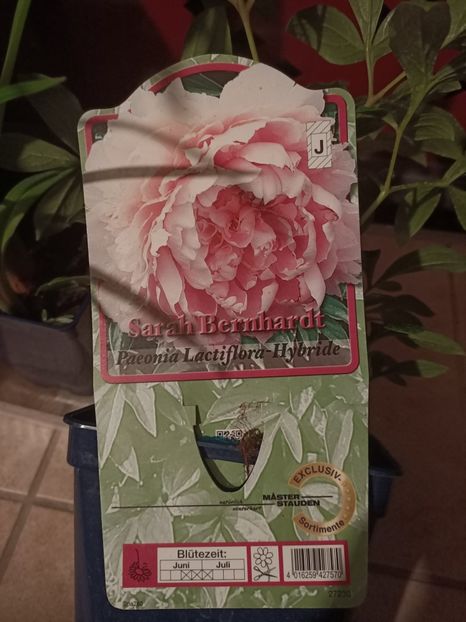 9.07.2021 - 1 Achiziție nouă