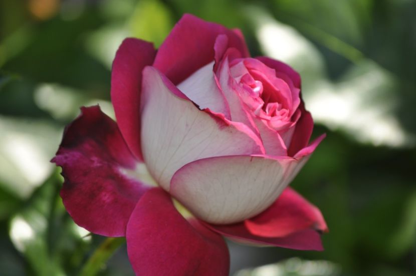 _DSC0093 - VARA 2021_6