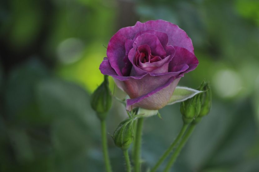 _DSC0154 - VARA 2021_6