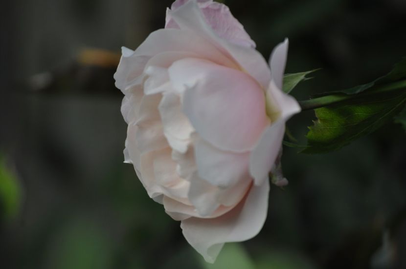 _DSC0167 - VARA 2021_6