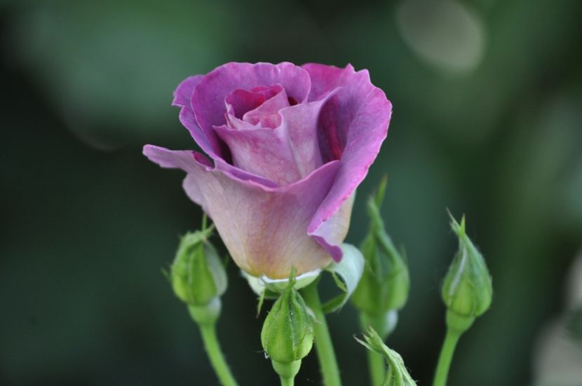 _DSC0175 - VARA 2021_6