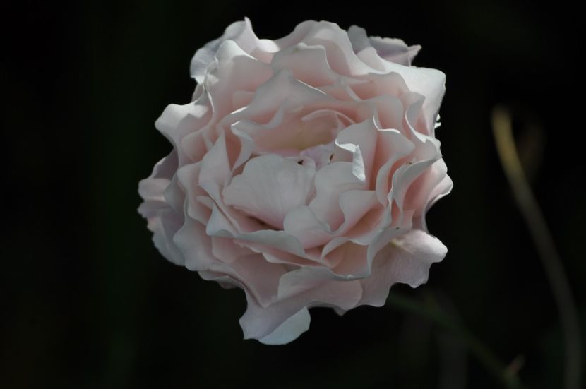 _DSC0184 - VARA 2021_6