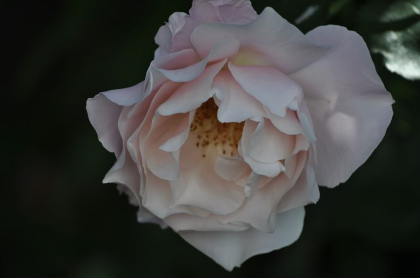 _DSC0187 - VARA 2021_6