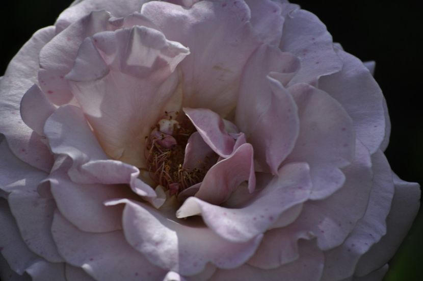 _DSC0210 - VARA 2021_6