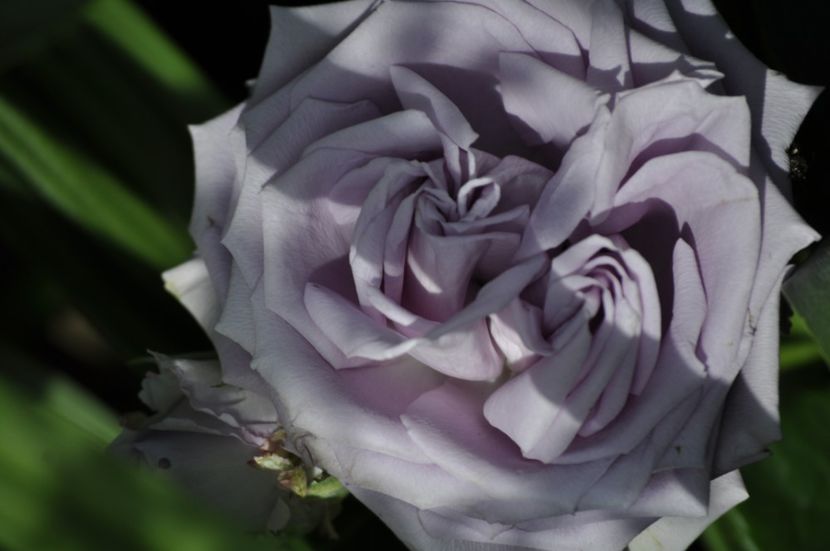 _DSC0246 - VARA 2021_6