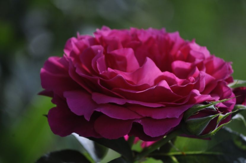 _DSC0262 - VARA 2021_6