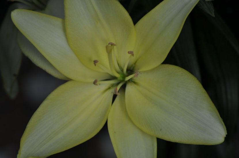 _DSC0268 - VARA 2021_6