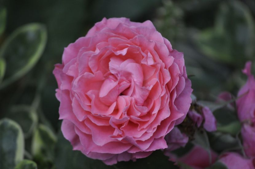 _DSC0062 - VARA 2021_6