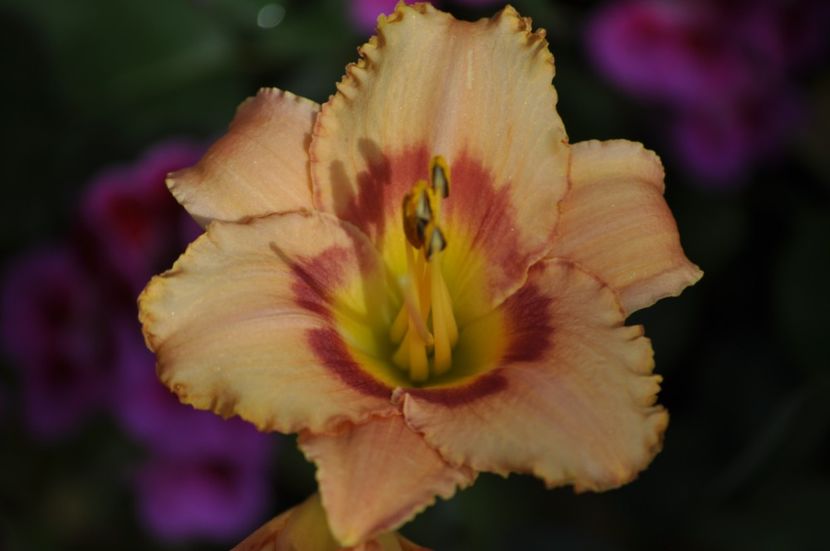 _DSC0088 - VARA 2021_6
