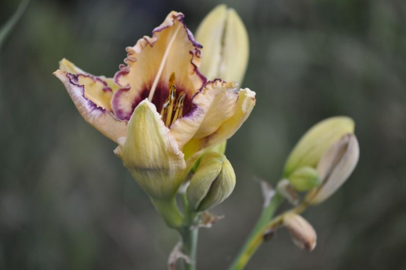 _DSC0186 - VARA 2021_7