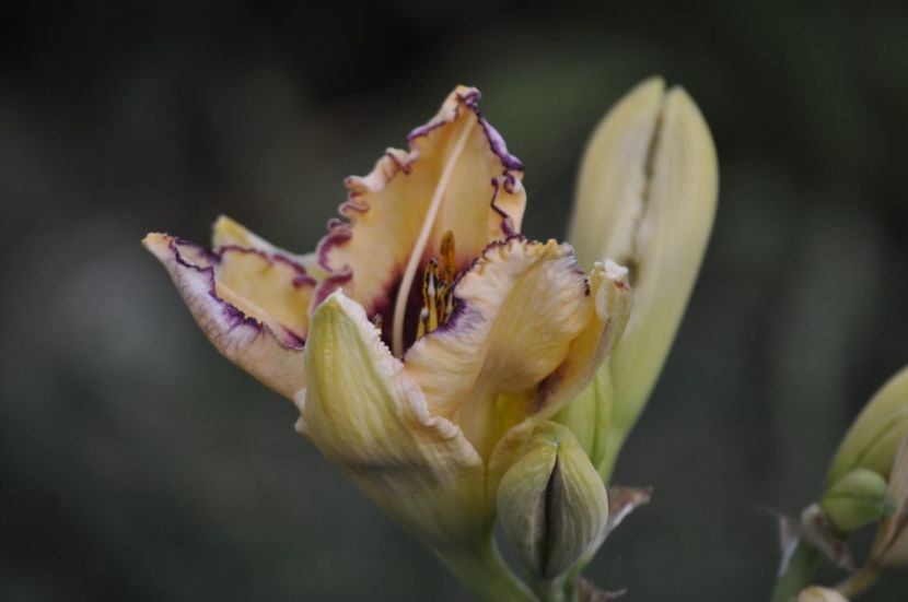 _DSC0187 - VARA 2021_7