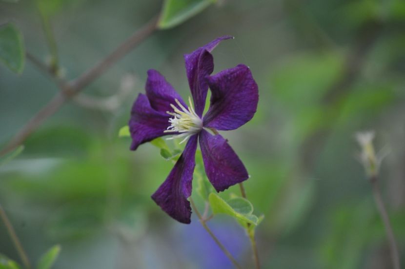 _DSC0208 - VARA 2021_7