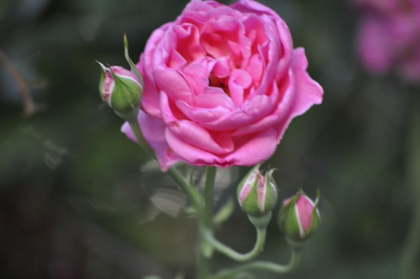 _DSC0212 - VARA 2021_7