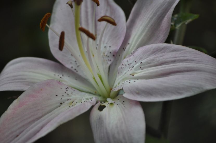 _DSC0225 - VARA 2021_7