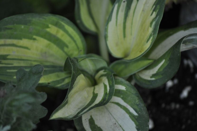 _DSC0227 - VARA 2021_7