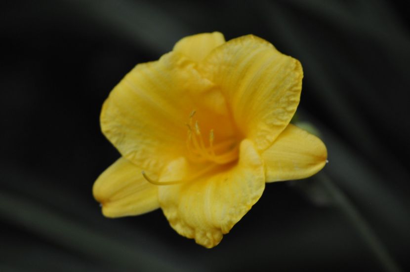 _DSC0238 - VARA 2021_7