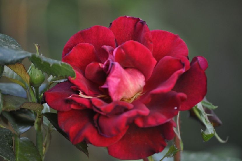 _DSC0261 - VARA 2021_7