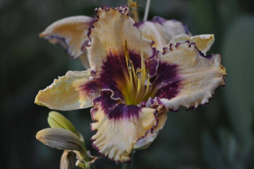 _DSC0269 - VARA 2021_7