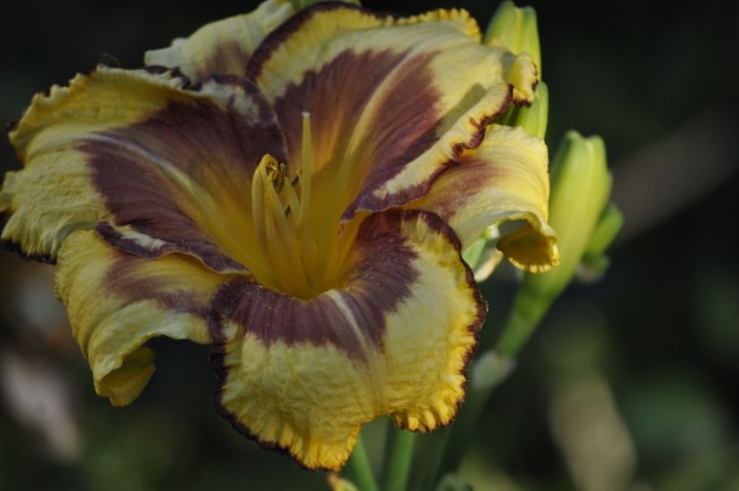 _DSC0273 - VARA 2021_7