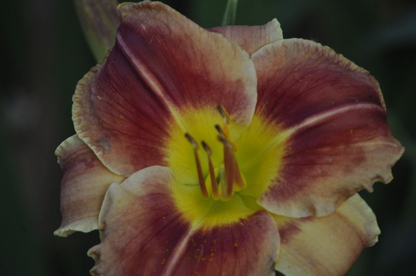 _DSC0299 - VARA 2021_7