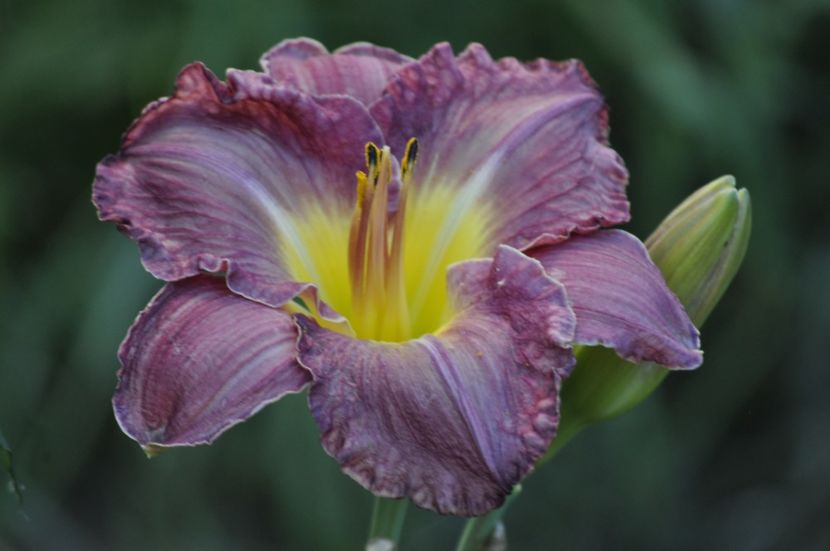 _DSC0317 - VARA 2021_7