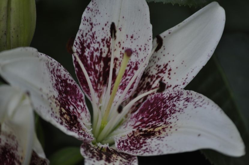 _DSC0334 - VARA 2021_7