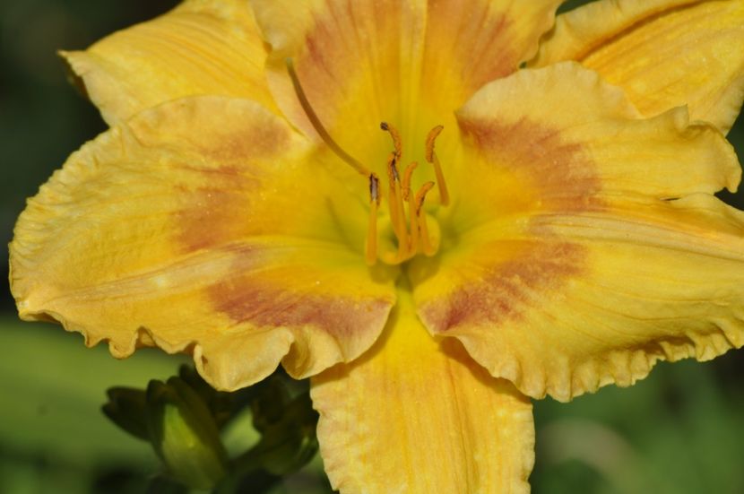 _DSC0365 - VARA 2021_7