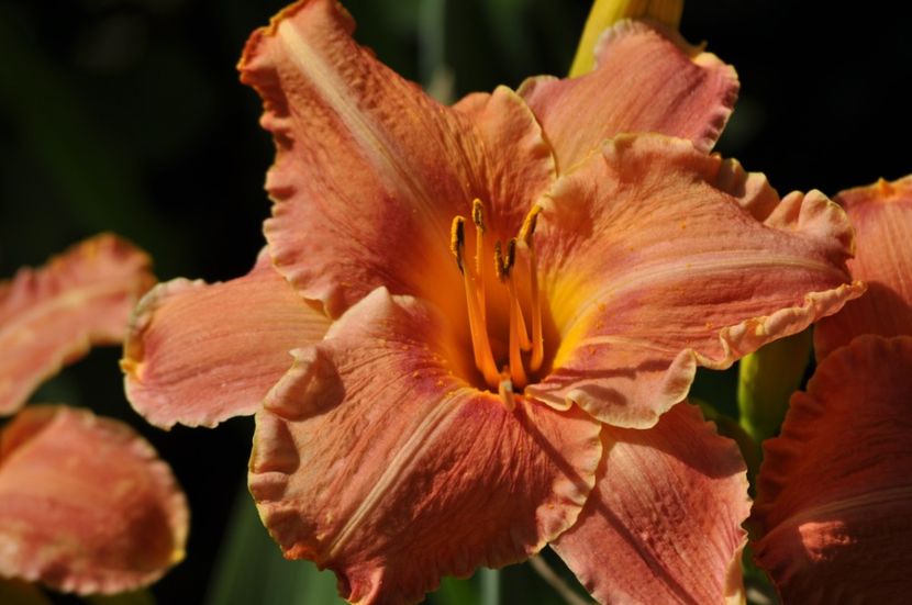 _DSC0371 - VARA 2021_7