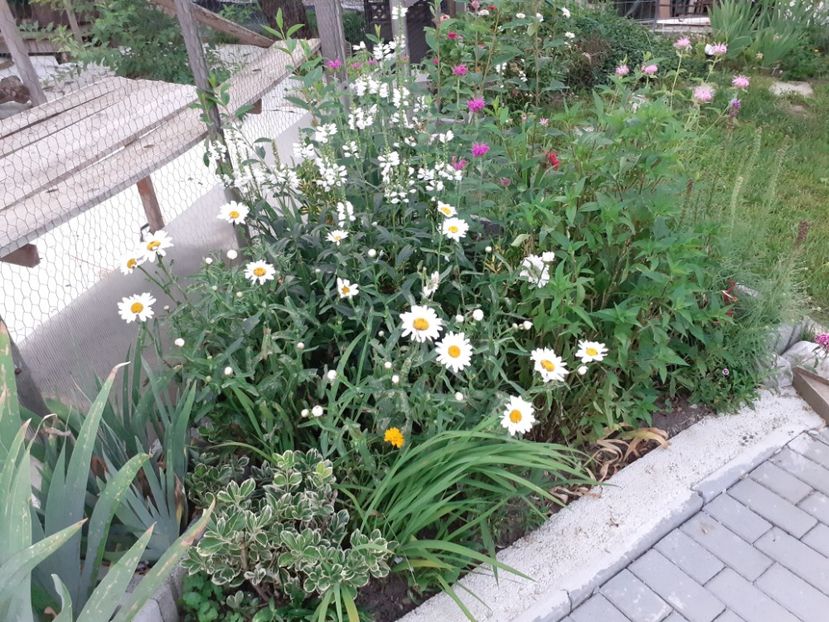  - Gradina 2021