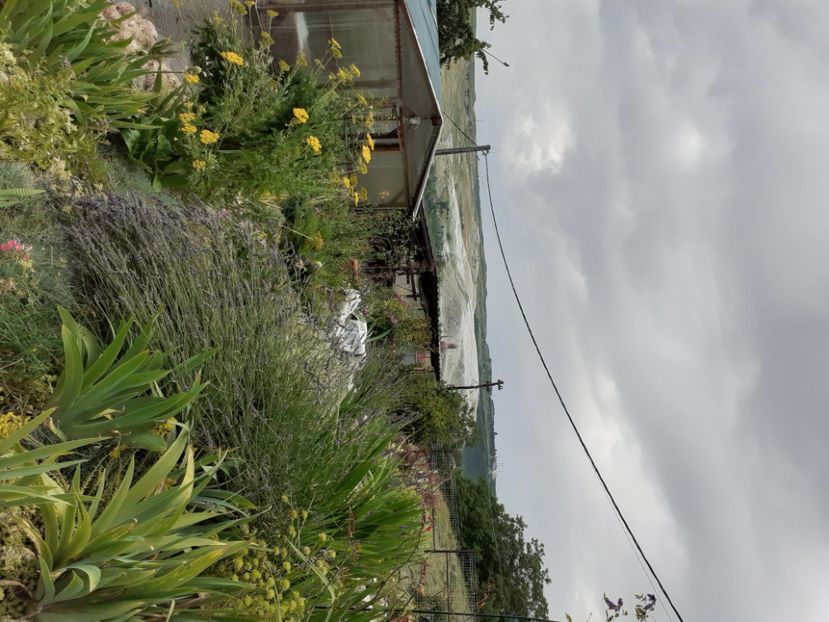  - Gradina 2021