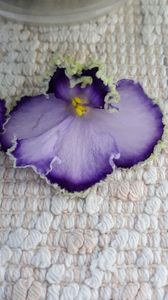 29 iun - LE Galateya