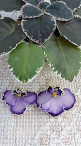 29 iun - LE Galateya