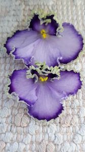 29 iun - LE Galateya