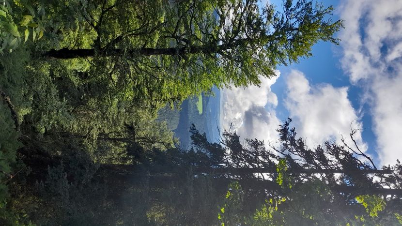  - Schwarzwald