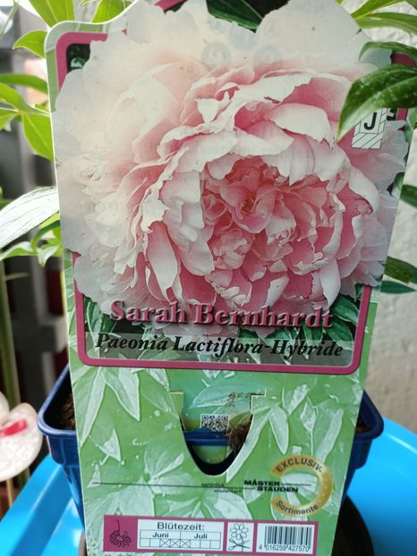 9.07.2021 - 1 Achiziție nouă