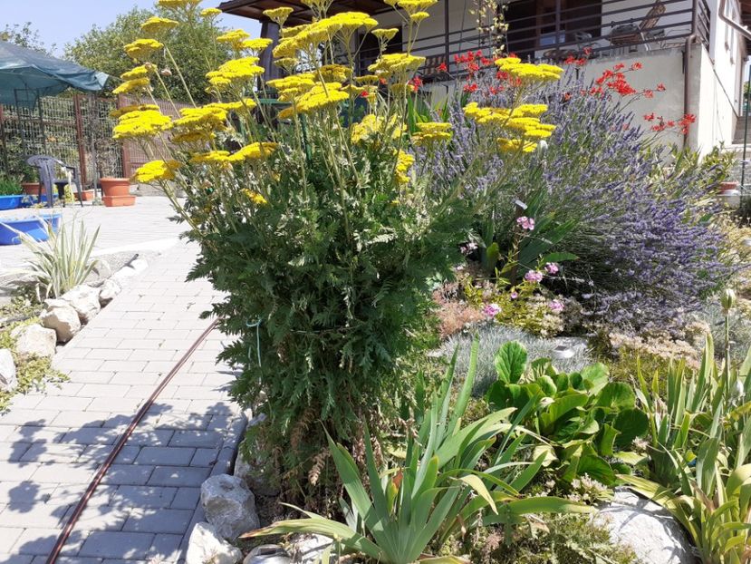  - Gradina 2021