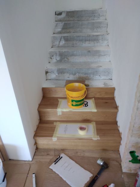  - 2021 Scari Interioare