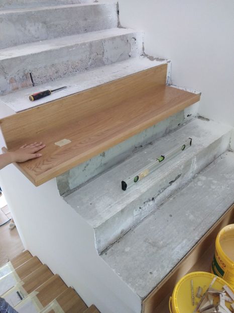  - 2021 Scari Interioare