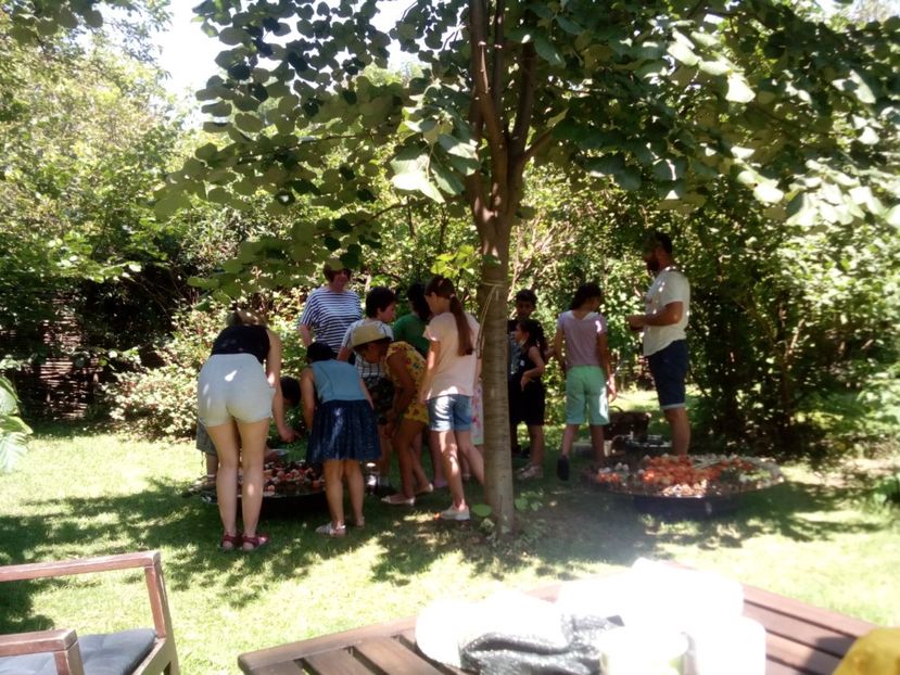  - Fundație