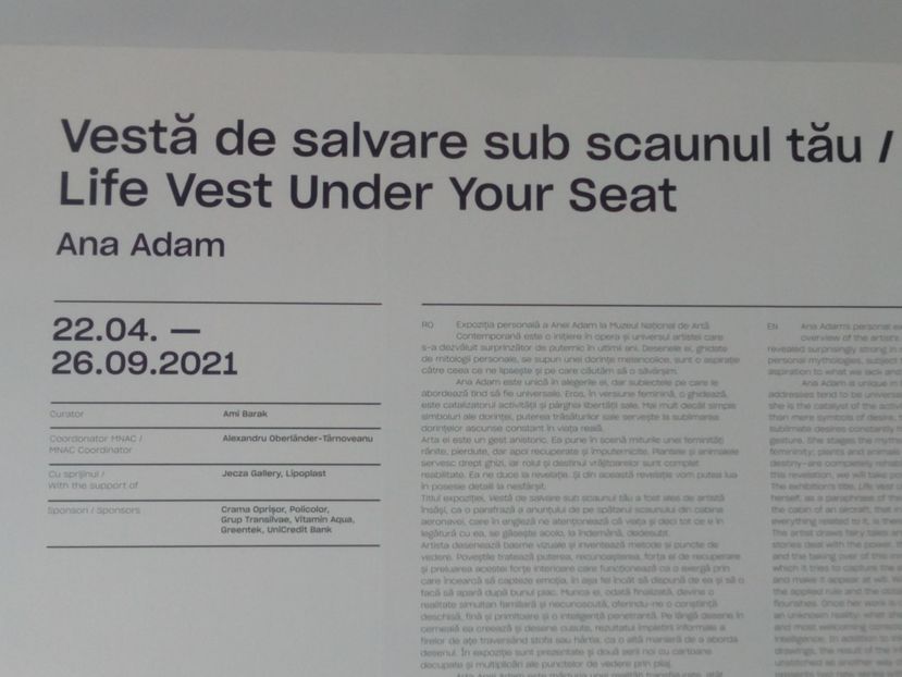  - Fundație